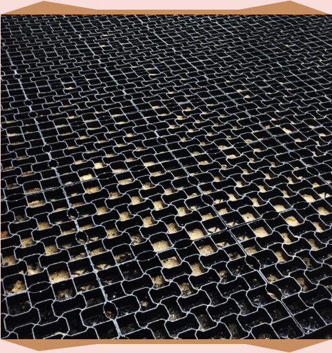 Reinforced / Fully Permeable Driveways