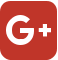 Google+ Logo