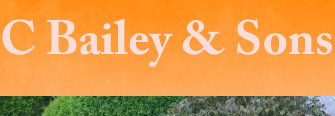 C Bailey & Sons