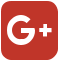 Google+ Logo